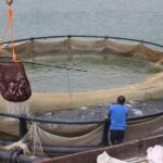 Isparta’da Su Ürünleri Av Yasağı Başlıyor!