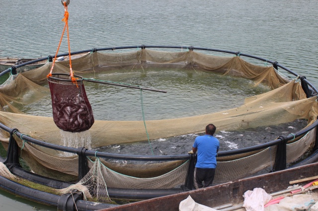 Isparta’da Su Ürünleri Av Yasağı Başlıyor!