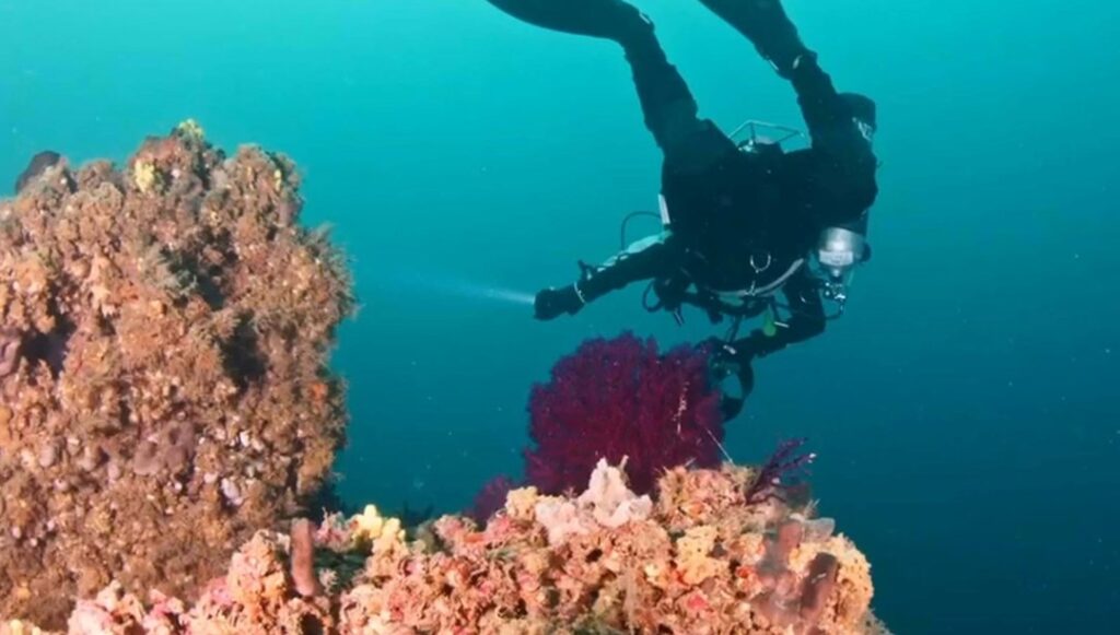 Gelibolu Sualtı Parkı: Su Altında Tarihi Yolculuk