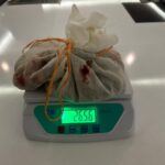 İstanbul’da 100.000 Adet Kaçak Tıbbi Sülük Ele Geçirildi