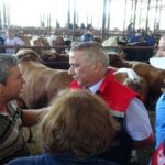 İl Müdürü Sağlam’dan Kurbanlık Hayvan Seçimi İpuçları