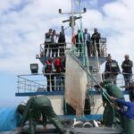 Samsun’da Su Ürünleri Yetiştiriciliği Artıyor!