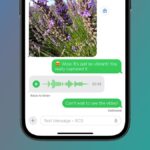 iOS 18 ile iPhone’lara RCS Mesaj Desteği Geliyor!