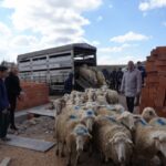 Köy hayatında mucize destek: Yangın mağdurlarına umut veren yardım