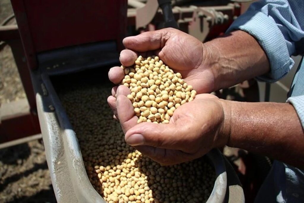 Adana’da Çiftçiler İkinci Ürün Ekimiyle Tarıma Destek!