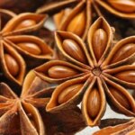 Anason: Doğal ve Şifalı Bitki