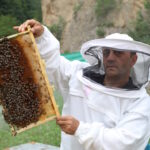 Anzer Balı Üreticileri Yeni Rekolte Beklentisini Açıkladı