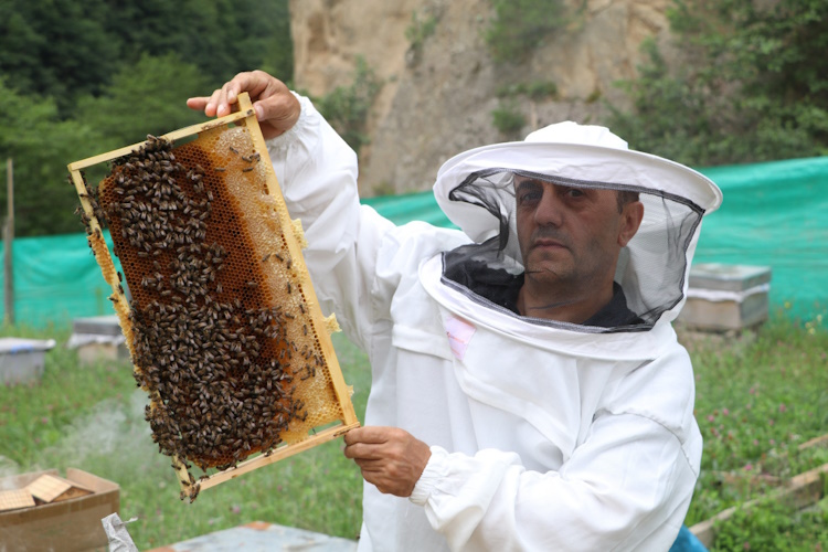 Anzer Balı Üreticileri Yeni Rekolte Beklentisini Açıkladı