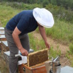 Alanya’da Arıcılar Bahara Hazır!