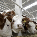 Bakan Kirişci’den Müjdeli Haber: Yüzde 50 Hibe!