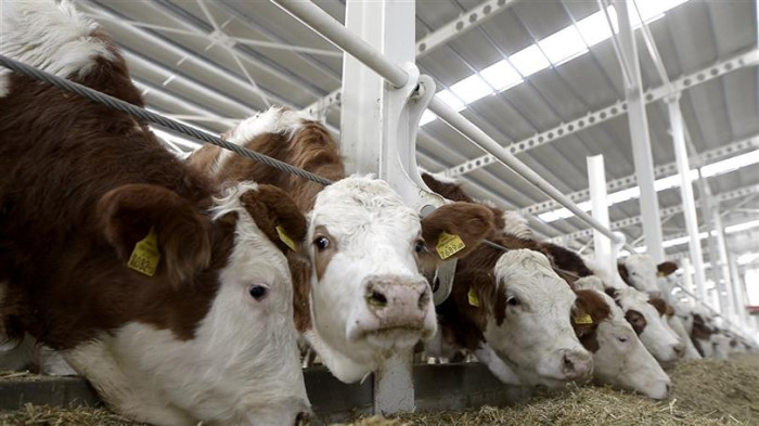 Bakan Kirişci’den Müjdeli Haber: Yüzde 50 Hibe!