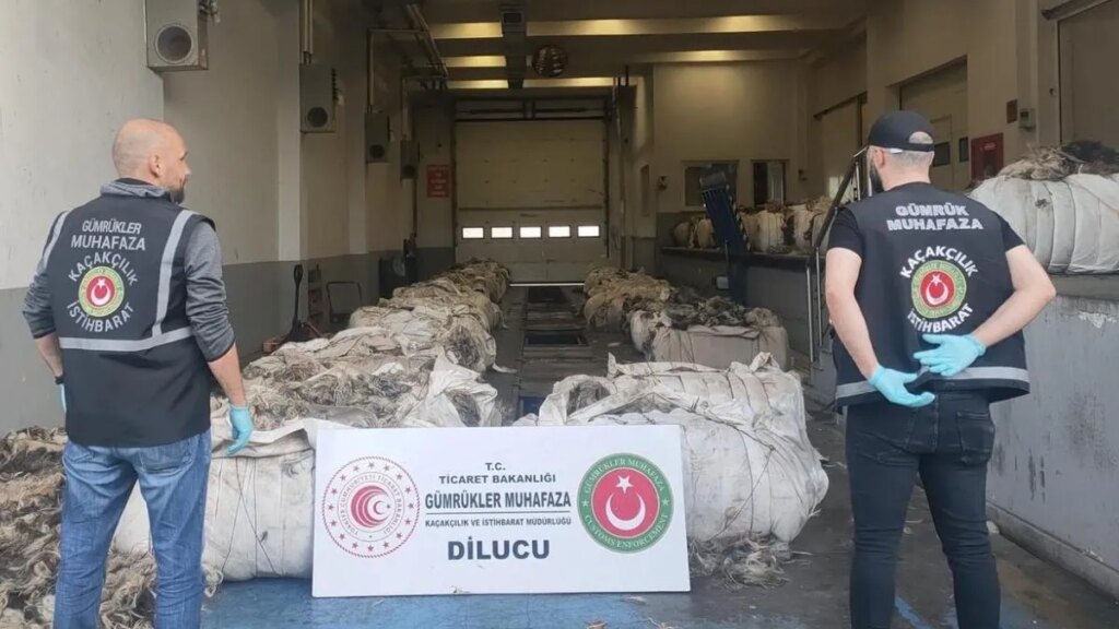 Keçi Kılıyla Harmanlanmış Uyuşturucu Operasyonu!