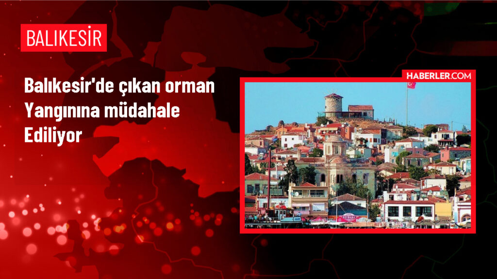Balıkesir’de Orman Yangını Kontrol Altında!