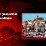 Balıkesir’de Orman Yangını Kontrol Altında!