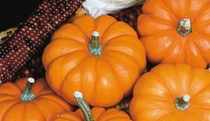 Sağlık Dolu Balkabağı: İşte Faydaları!