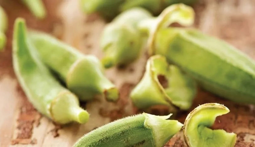 BAMYA NASIL AYIKLANIR?