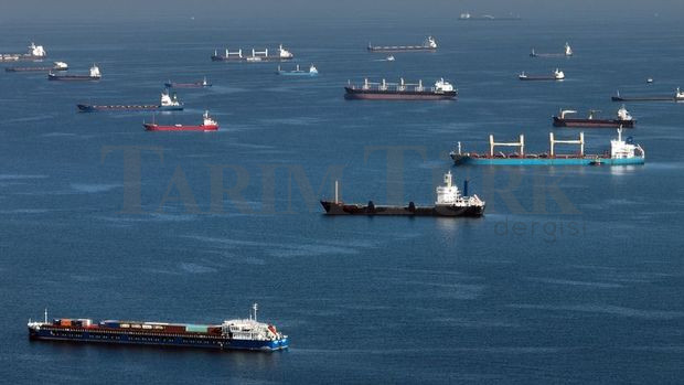 BM’den Tahil Koridorunda Denetim Çağrısı