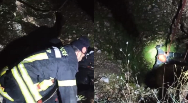 Büyükşehir İtfaiyesi: Kurtarılan İnek Herkesi Duygulandırdı