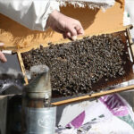 Deprem Bölgelerindeki Arıcılar için Acil Destekler Devam Ediyor