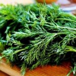 “Dereotunun Sağlığa Faydaları”