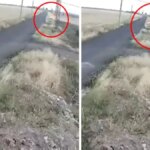 Elektrik Telllerinden Yangın Faciası!