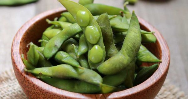 Edamame: Besleyici ve Lezzetli Genç Soya Fasulyesi