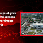 Elazığ’da Bakteri Kullanımıyla Mercimek Veriminde Artış