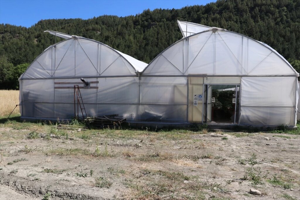 Depremzededen çilek üreticisine dönüşüm gören serüven