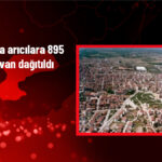 Karaman’da Arıcılara 895 Organik Kovan Dağıtıldı!