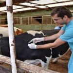 Türk Veteriner Hekimleri Birliği’nin 70. Yıl Dönümü Kutlandı