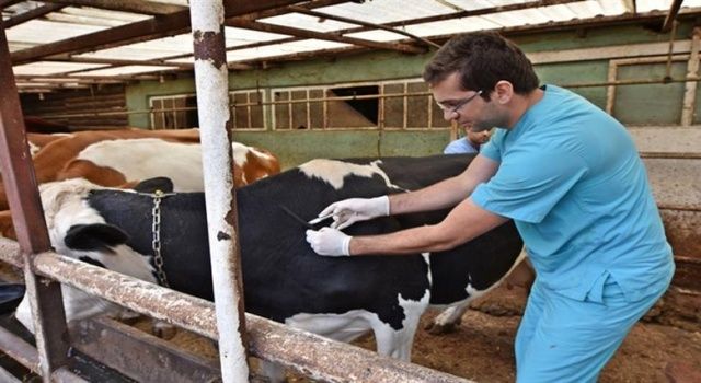 Türk Veteriner Hekimleri Birliği’nin 70. Yıl Dönümü Kutlandı