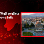 Kayseri’de 16 Göl ve Gölete 1,5 Milyon Yavru Balık Salındı!