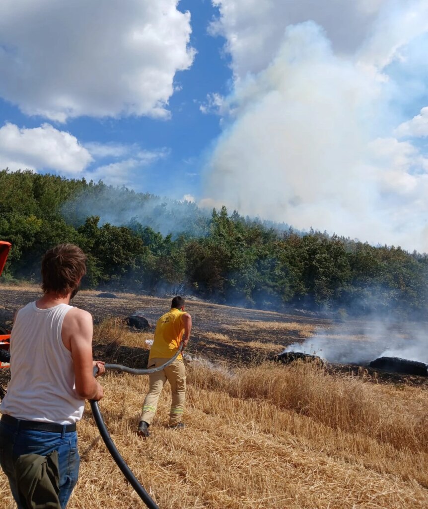 Anız yangını ormana sıçradı, drone ile görüntülendi