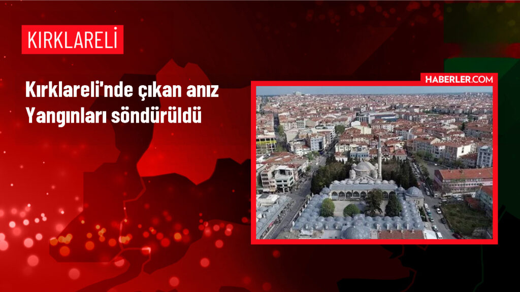 Kırklareli Anız Yangını: 180 Dekar Zarar!