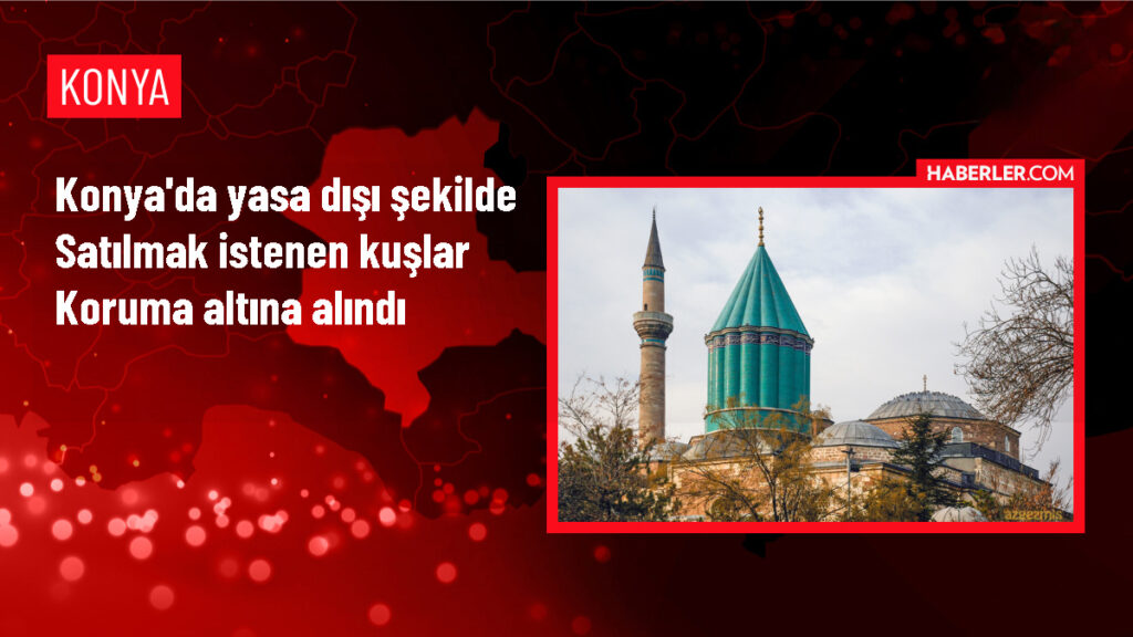 Konya’da Yasa Dışı Kuş Ticareti!