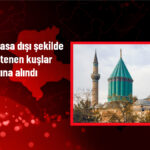 Konya’da Yasa Dışı Kuş Ticareti!