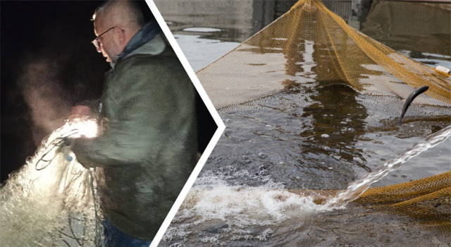 Kovada Gölü’nde Kaçak Avcılara Göz Açtırmıyorlar!
