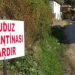 Kuduz Tehlikesi: Şanlıurfa’da Bir Mahalle Daha Karantinada