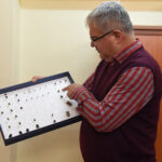 Küresel Isınmanın Böcek Popülasyonu Üzerindeki Etkisi