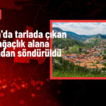 Kütahya’nın Gediz İlçesindeki Tarla Yangını Kontrol Altında!