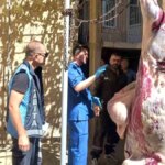 Kütahya’da Bayramda 261 Saha Denetimi!