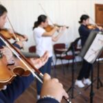 Yaz Okulu Programları ve Kurs Detayları