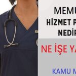 Memur Hizmet Puanı Nedir? Tayinde Etkisi Nedir?