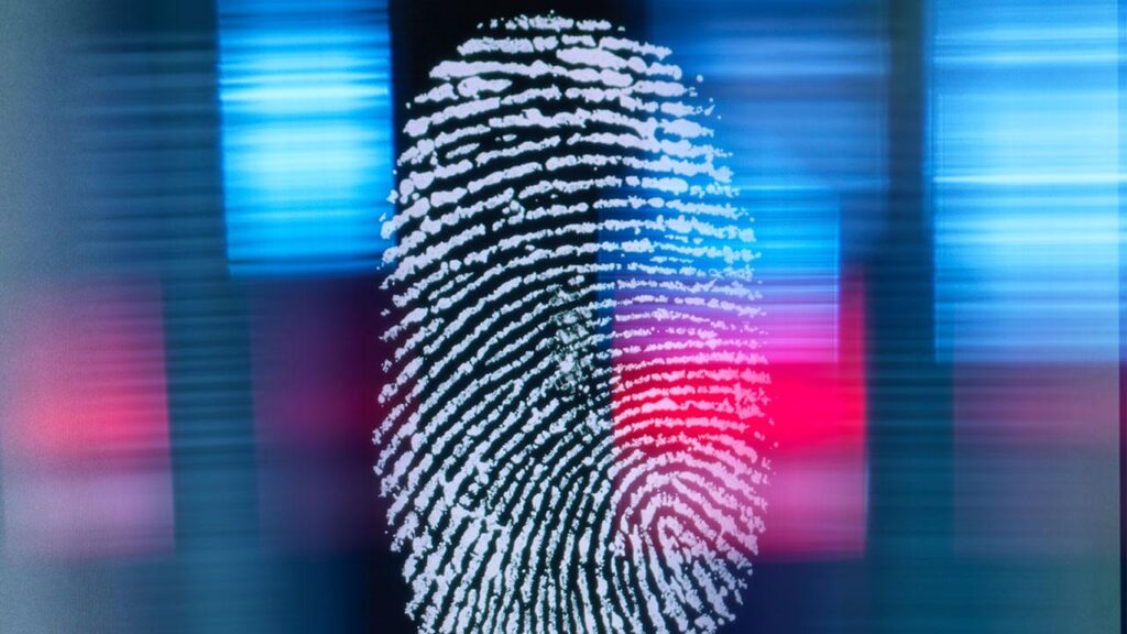 Milli Biyometrik Veri Sistemi Devrede!