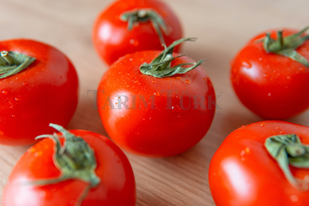 Rusya, Türkiye’den domates ithalat kotasını artırdı