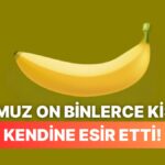 Sanal Muzun Şaşırtıcı Yükselişi: Banana Oyunu Steam’de Fenomen Oldu!