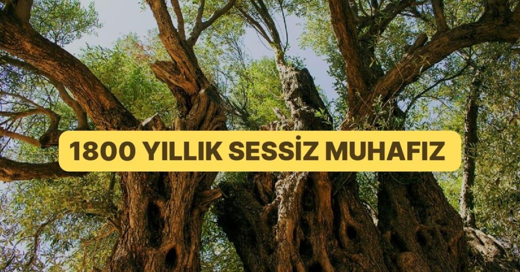 Umay Nine: Türk Mitolojisinin Güçlü Figürü