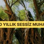 Umay Nine: Türk Mitolojisinin Güçlü Figürü