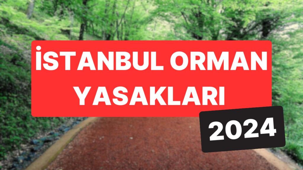 İstanbul’da Piknik Keyfi! 🌳🧺