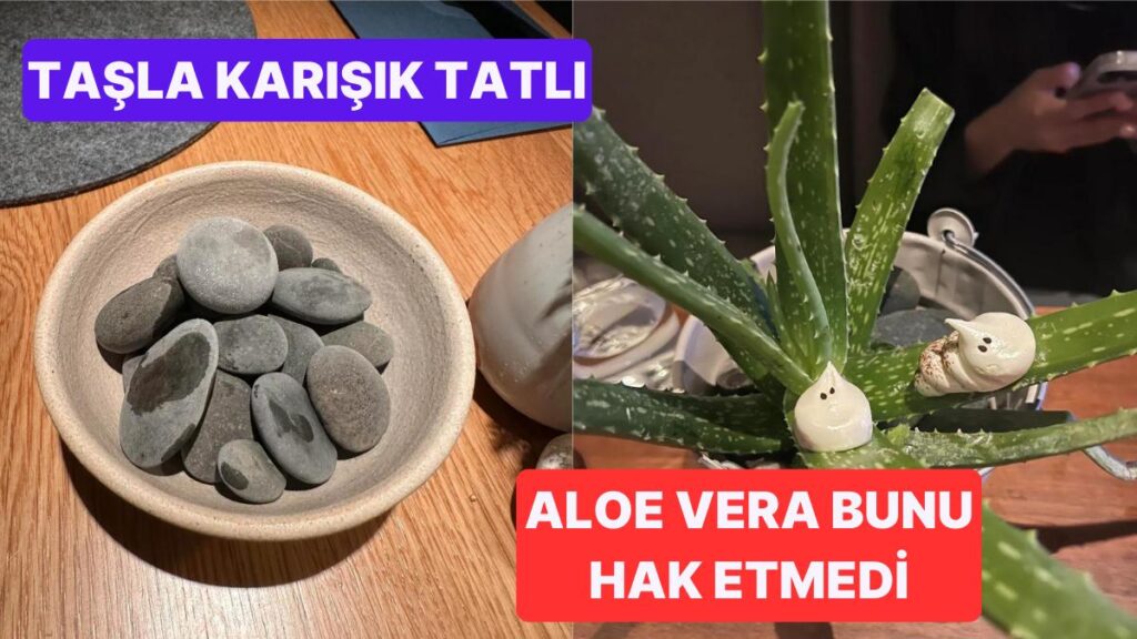 Yeni Gelinleri Şaşırtan Restoran Sunumları! 🍽️